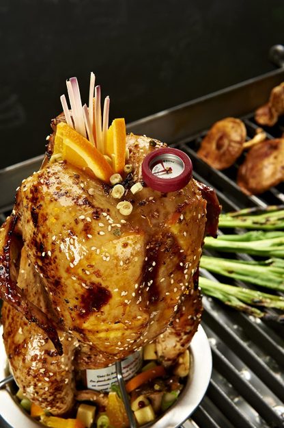 Broil King Chicken Roaster 69132