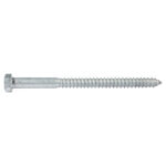 Paulin 1/2" X 7" Galvanized Lag Bolt, 25 Box 854-601