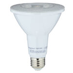 Luminus LED Light Bulb, PAR30, 11 W, Bright White PLYC4163