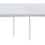 Seasonal Trends 22006200010 Carport, 10 ft L, 20 ft W, 10.3 ft H, Steel Frame, Polyethylene Canopy, White Canopy