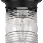 Canarm IOL105BK Outdoor Light, Incandescent Lamp, Aluminum Fixture, Black