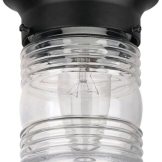 Canarm IOL105BK Outdoor Light, Incandescent Lamp, Aluminum Fixture, Black