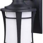 Canarm MAYA Series IOL138BK Outdoor Wall Light, 120 V, Incandescent Lamp