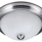 Canarm IFM21351 Ceiling Light Fixture, 2-Lamp, Brushed Pewter Fixture