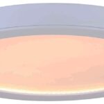 Canarm LED-SM11DL-WT-C Disk Light, 120 V, 22 W, LED Lamp, 1540, 3000 K Color Temp, White Fixture