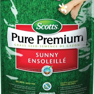 Scotts Turf Builder Grass Seed - Sunny Areas Mix, 1kg Bag, Covers Up To 246 M² (Kentucky Bluegrass Blend)
