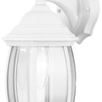 Canarm IOL1211 Outdoor Lantern, 120 V, 100 W, Incandescent Lamp, Aluminum/Steel Fixture, White Fixture