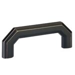 Oil Rubbed Bronze (US10B)