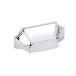 Polished Chrome (26)