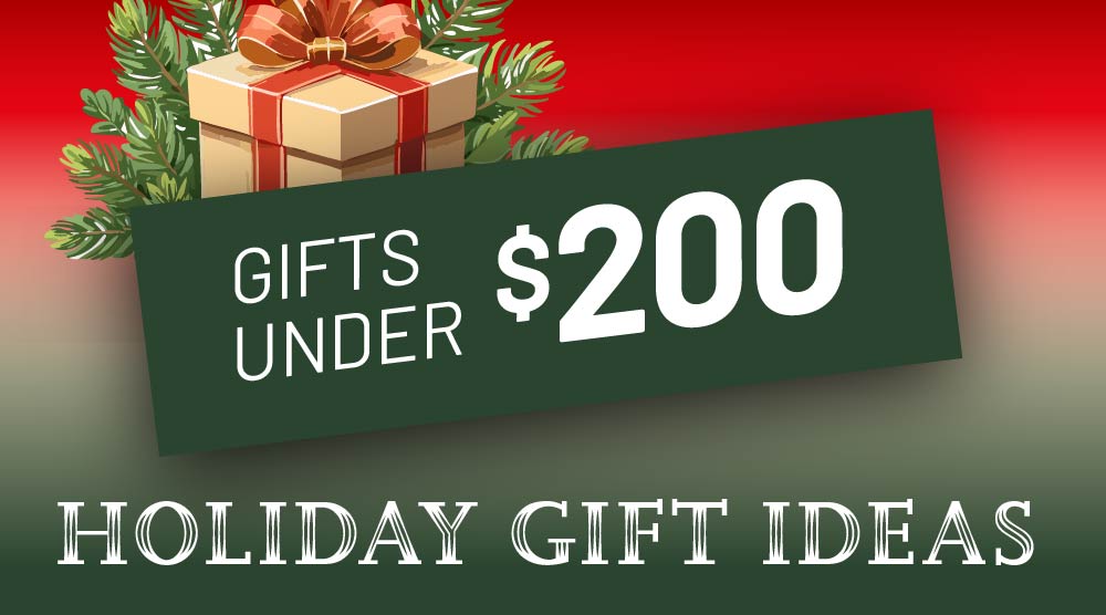 Holiday gifts under $200