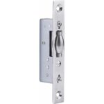 Polished Stainless Steel (PSS)