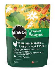 Miracle-Gro 3154406 Organics Pure Hen Manure, 2 kg Bag, Solid, 3-1-2 N-P-K Ratio