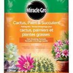 Miracle-Gro 73018010 Succulent Potting Mix, Solid, 8.8 L Bag
