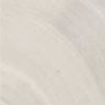 Brushed Stainless Steel (SS)