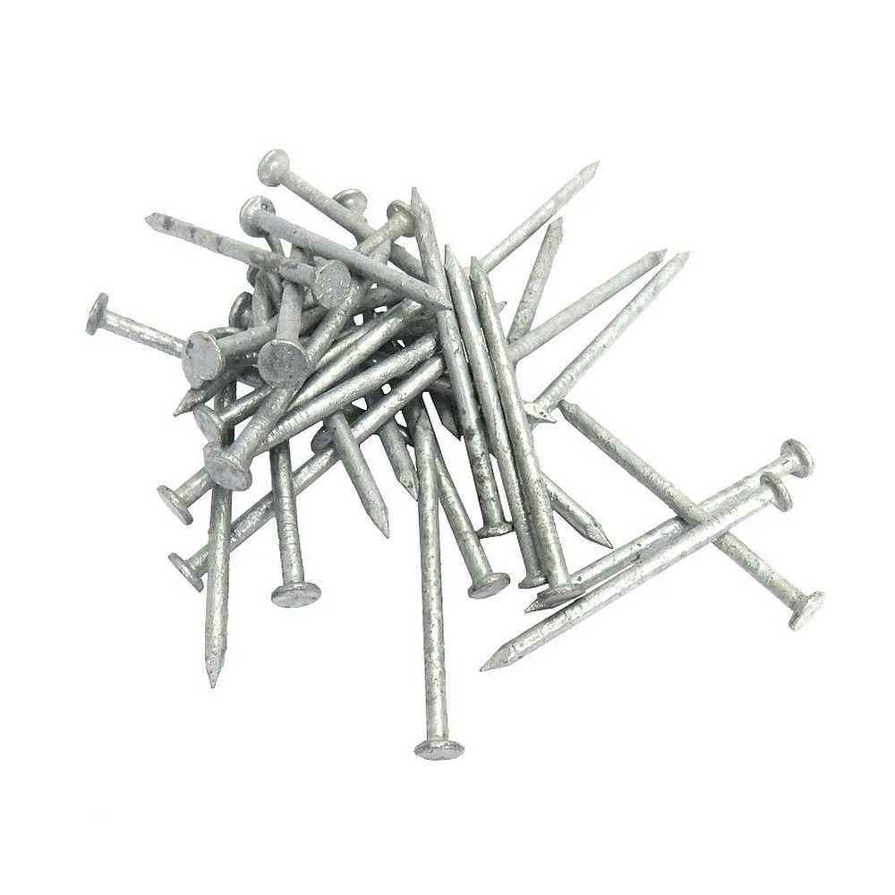 Tree Island 1CA20 2" Galvanized Common Nail, 50lb Pack