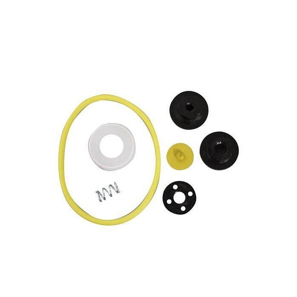Chapin 6-4602 Acid Sprayer Repair Kit