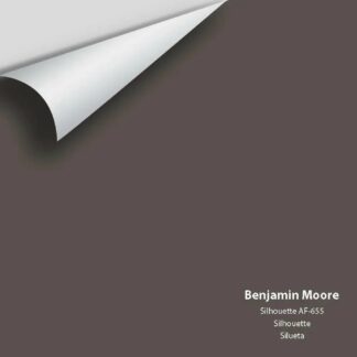 Colour Squared BPC- Silhouette AF-655 12"x12" Vinyl Big Paint Chip - Silhouette