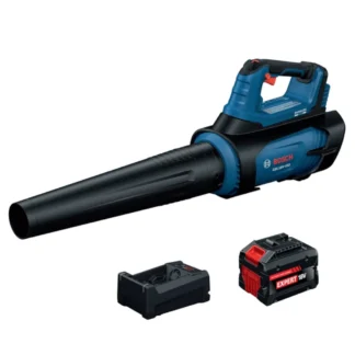 Bosch GBL18V-450N18X Professional 18V Blower Kit