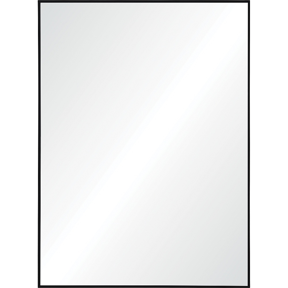 Renwil MT2345 Raizel 40" Tall Rectangle Wall Mirror - Black