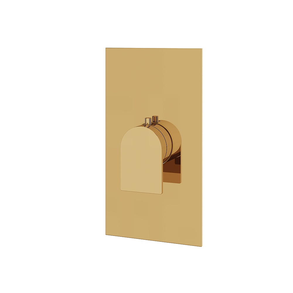 Aquabrass ABSTSR3092PGD Alpha Trim Set for T12000 Valve - Polished Gold