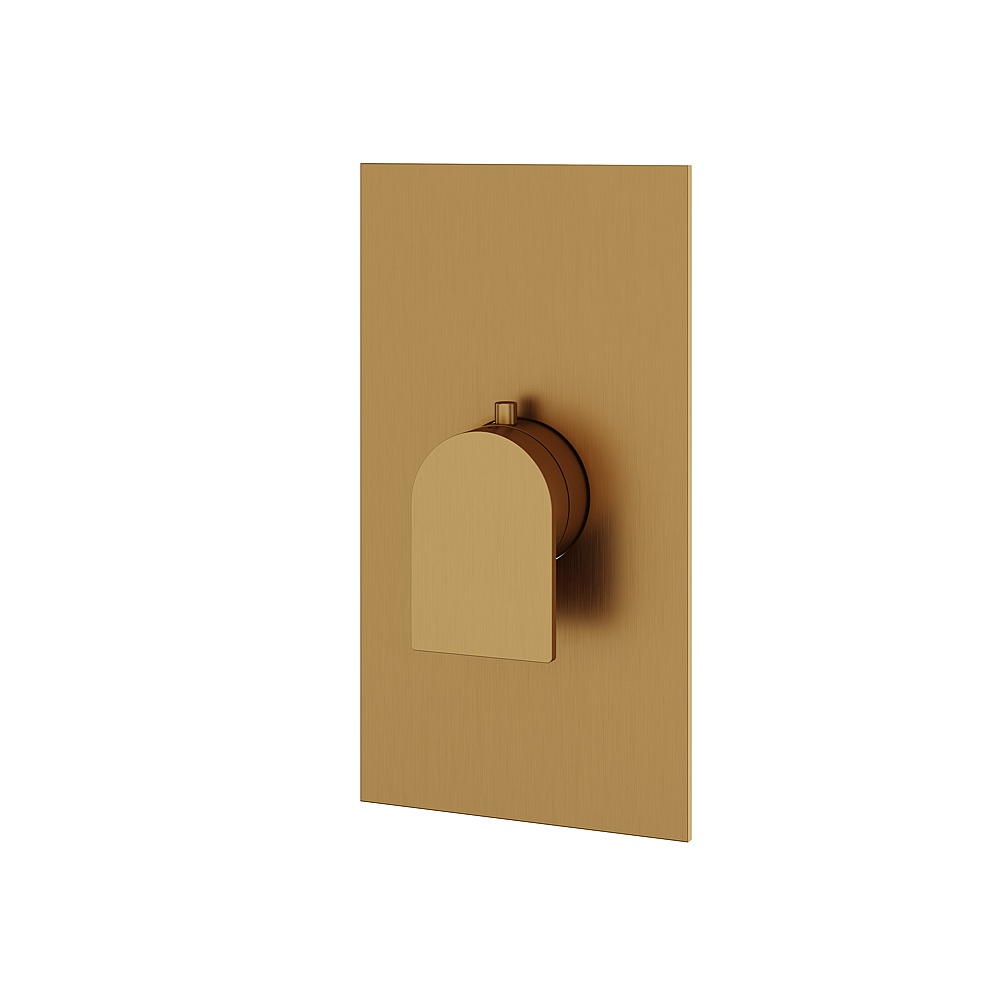 Aquabrass ABSTSR3092BGD Alpha Trim Set for T12000 Valve - Brushed Gold