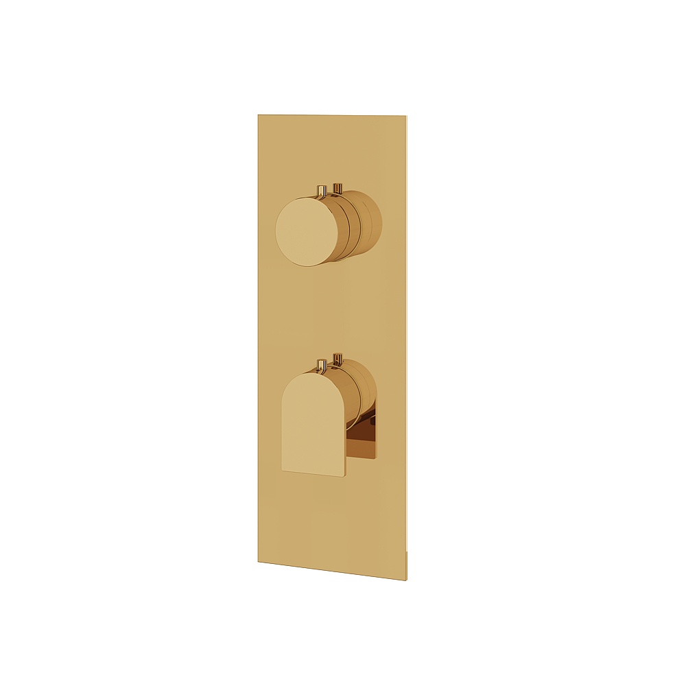 Aquabrass ABSTSR8292PGD Alpha Trim Set 2-Way for T12123 Valve - Polished Gold