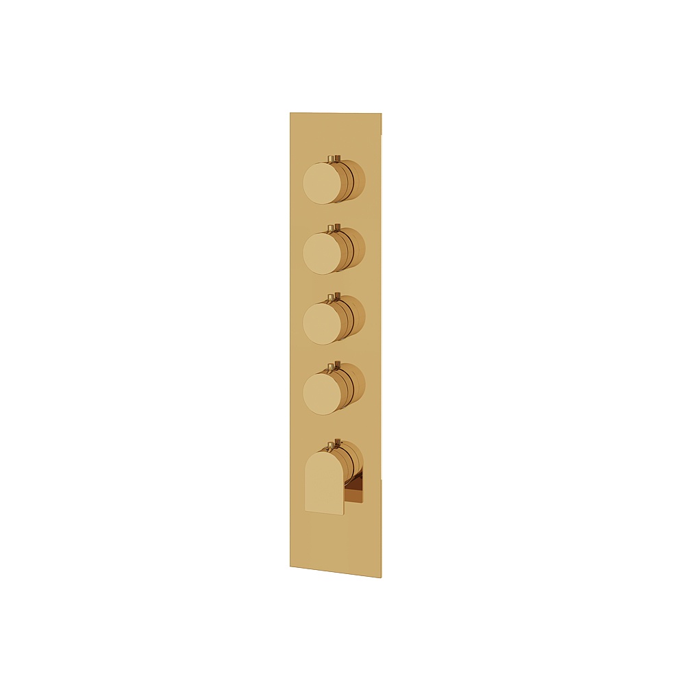 Aquabrass ABSTSR3492PGD Alpha Trim Set for T12004 Valve - Polished Gold