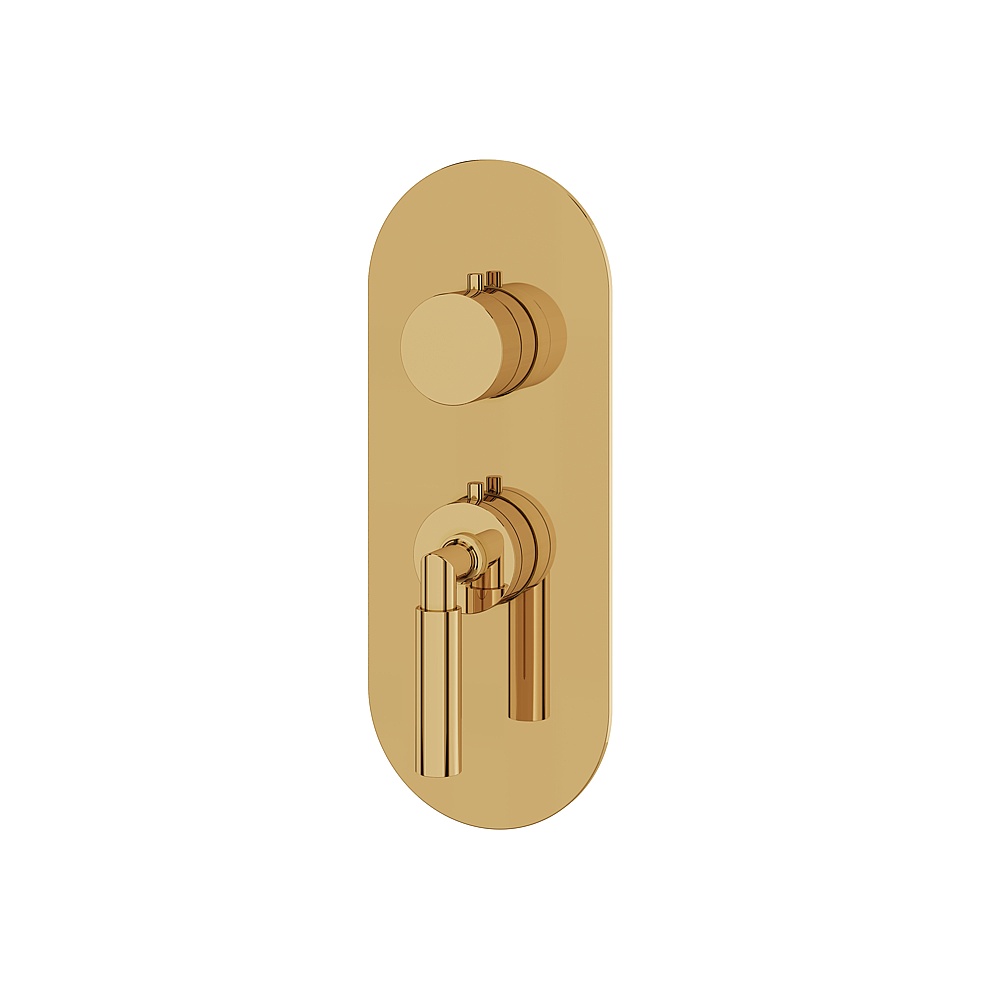 Aquabrass ABSTR3148PGD Aria Trim Set for T12001 Valve - Polished Gold