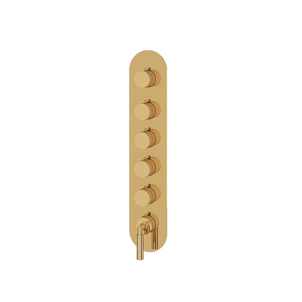 Aquabrass ABSTR3548PGD Aria Trim Set for T12005 Valve - Polished Gold