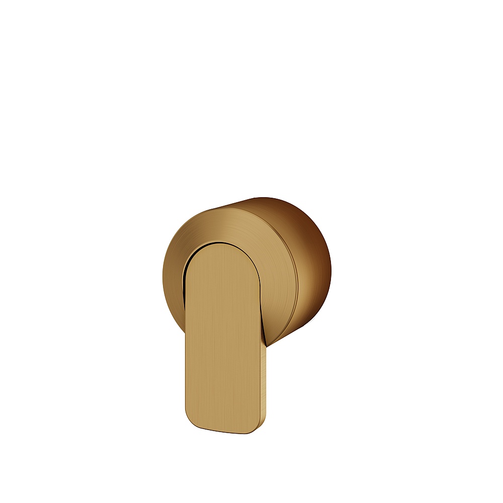 Aquabrass ABSHC67095BGD C67 Handle for Thermo Valve - Brushed Gold