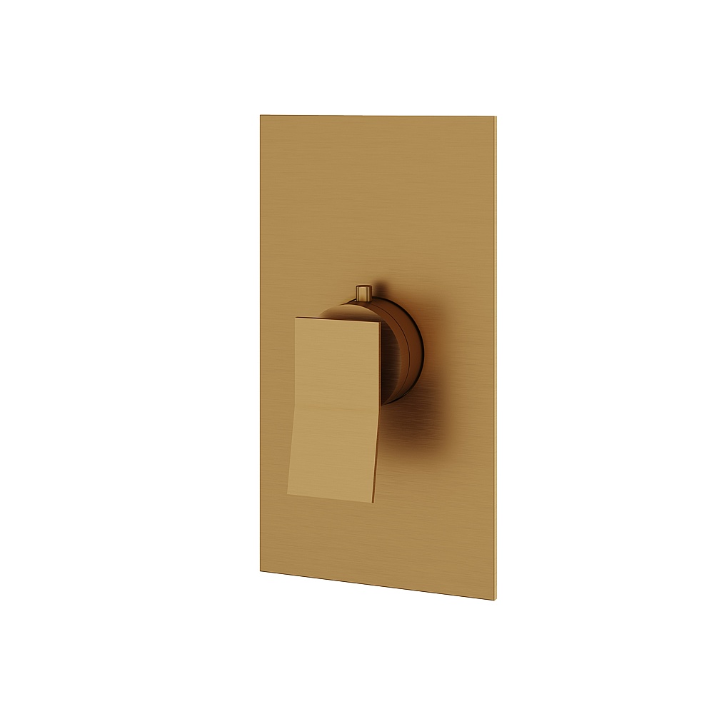 Aquabrass ABSTS3019BGD Chicane Trim Set for T12000 Valve - Brushed Gold
