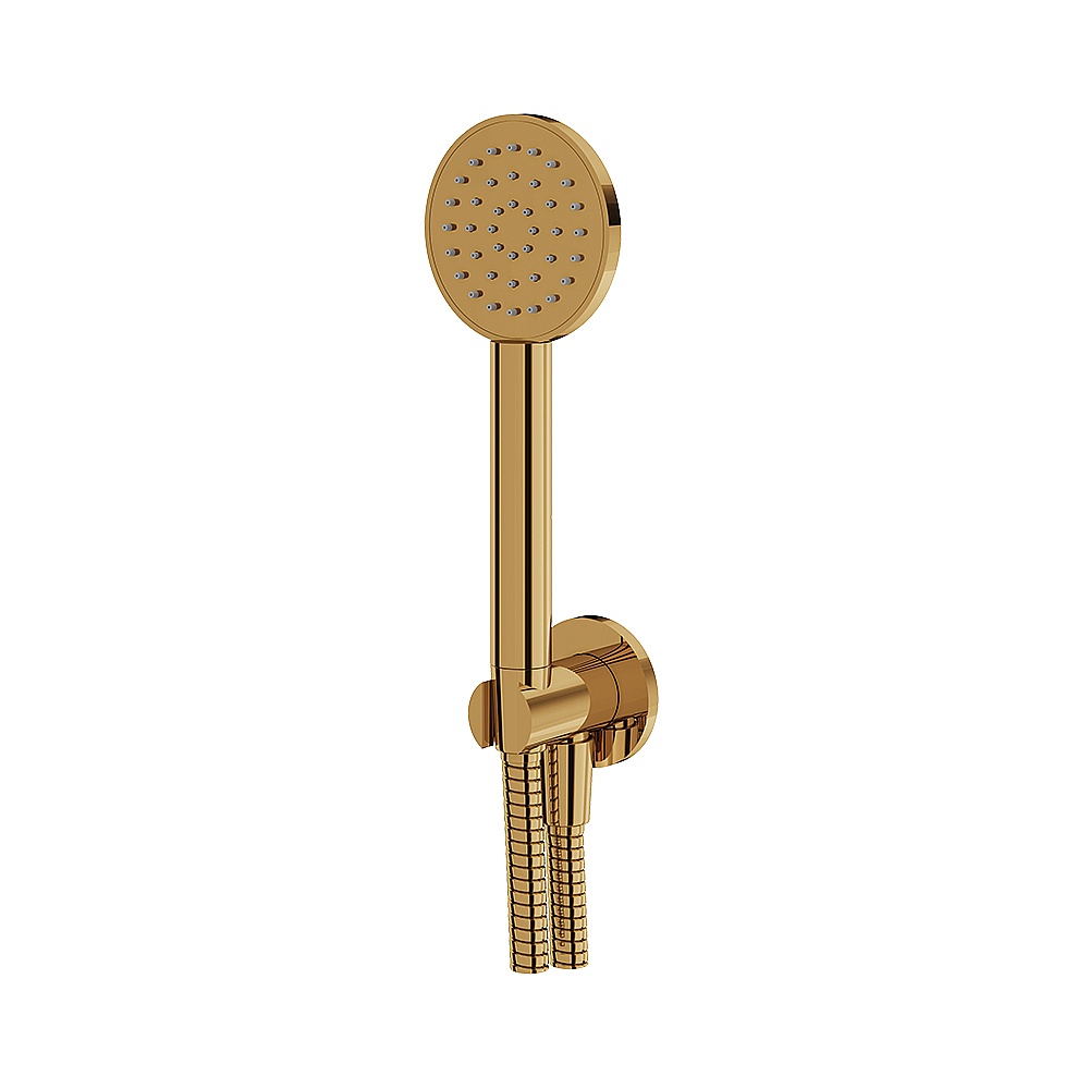 Aquabrass ABSCHSS365PGD Round Handshower Set - Polished Gold