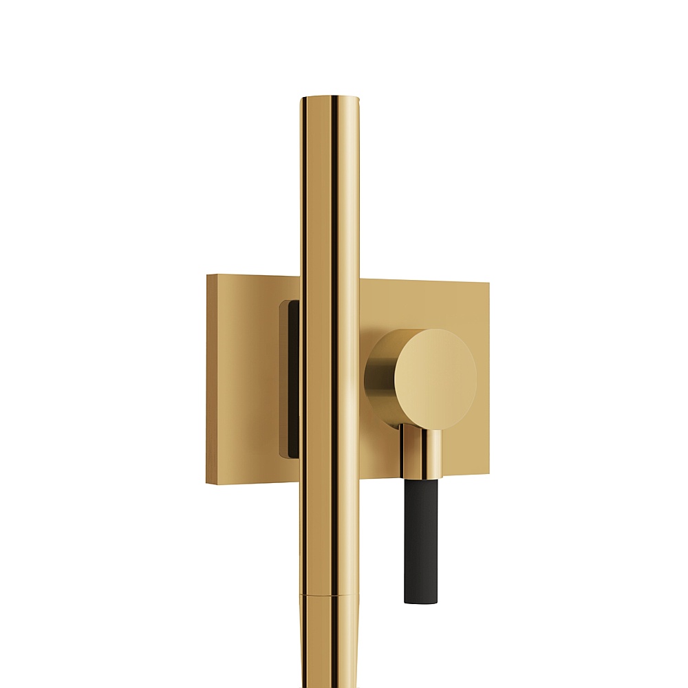 Aquabrass ABSCHSS376PGD Magnetic Handshower Set with Square Flange - Polished Gold