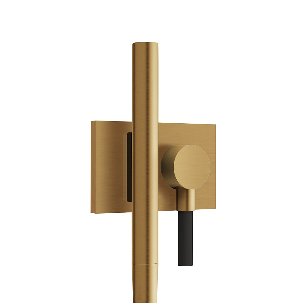Aquabrass ABSCHSS376BGD Magnetic Handshower Set with Square Flange - Brushed Gold