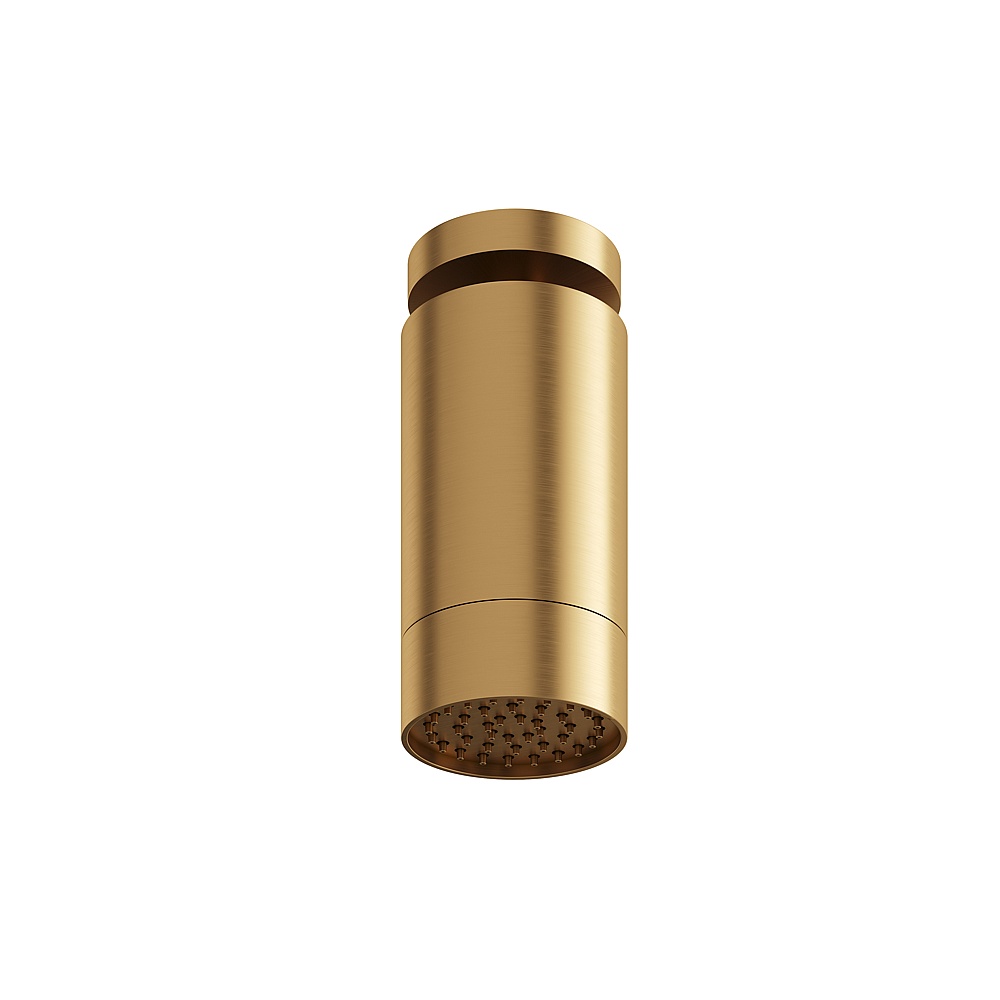 Aquabrass ABSCSPS65BGD Rainhead with Ceiling Arm-Smooth Ring - Brushed Gold