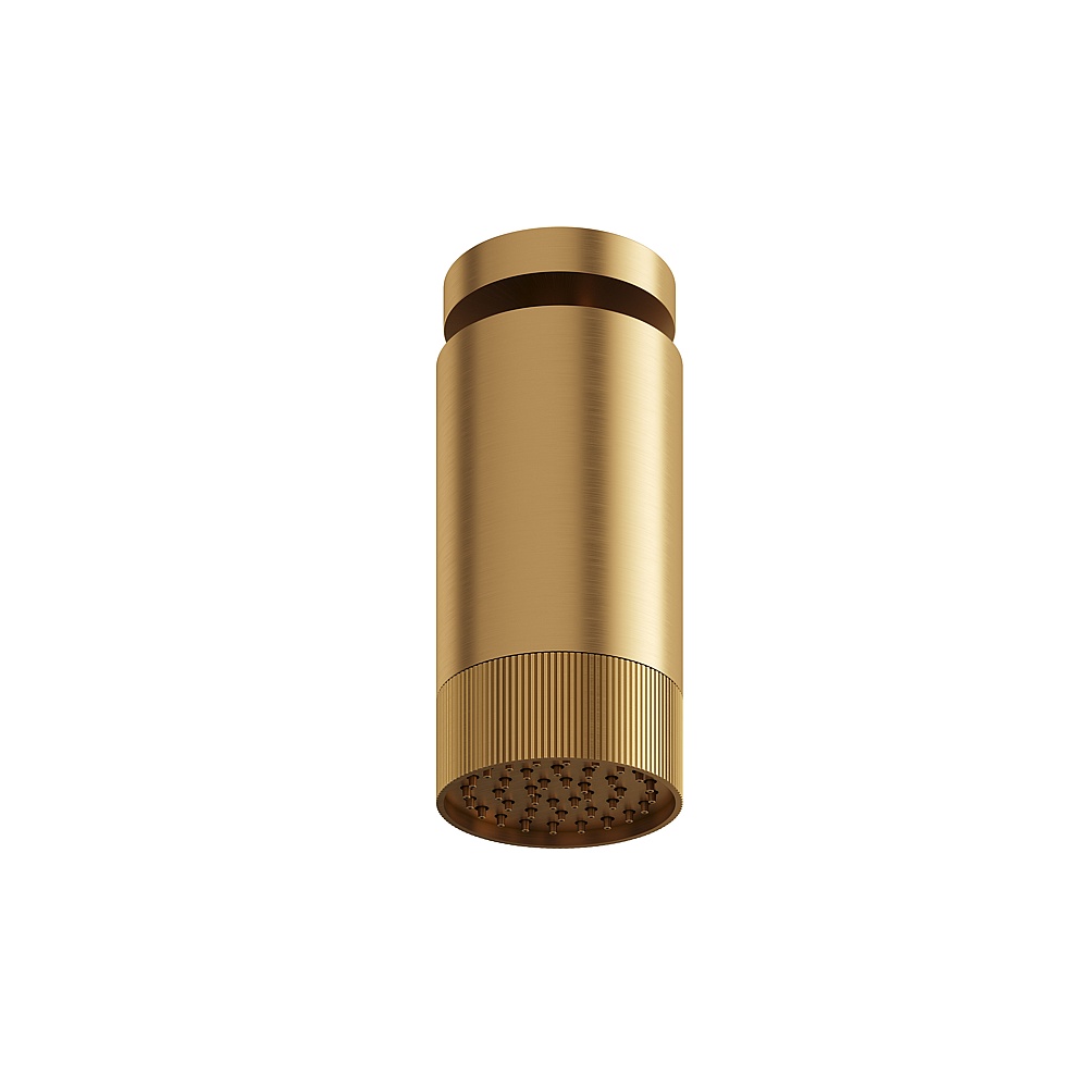 Aquabrass ABSCSPT65BGD Showerhead with Ceiling Arm-Textured Ring - Brushed Gold