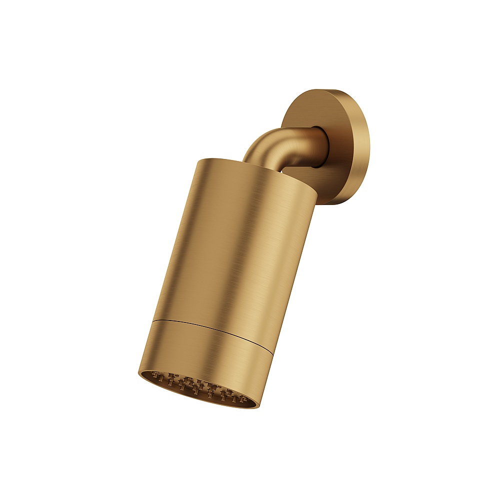 Aquabrass ABSCSPS67BGD Rainhead with Wall Arm-Smooth Ring - Brushed Gold