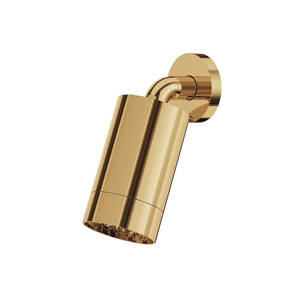 Aquabrass ABSCSPS67PGD Rainhead with Wall Arm-Smooth Ring - Polished Gold