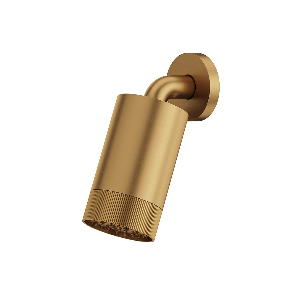 Aquabrass ABSCSPT67BGD Showerhead with Wall Arm-Textured Ring - Brushed Gold