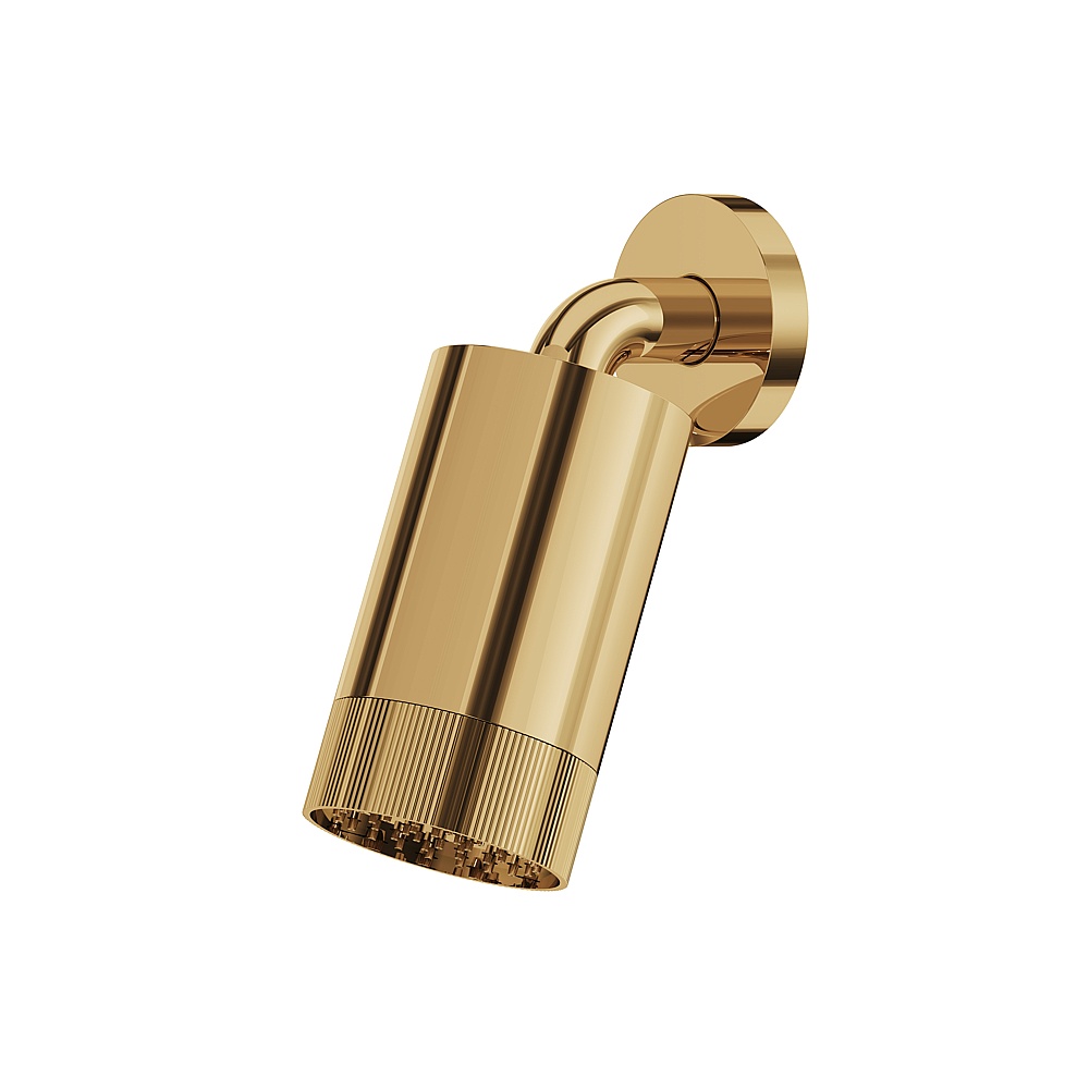 Aquabrass ABSCSPT67PGD Showerhead with Wall Arm-Textured Ring - Polished Gold