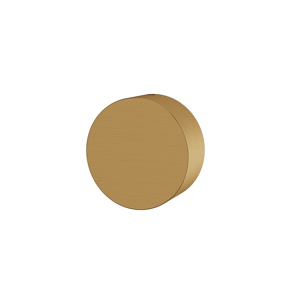 Aquabrass ABSH75095BGD Shower Handles Uniround Handle For Totem Valve - Brushed Gold
