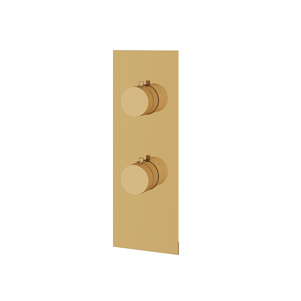Aquabrass ABSTSR8295PGD Shower Trims Square/Round Trim Set 2-Way Shared for T12123 Valve - Polished Gold