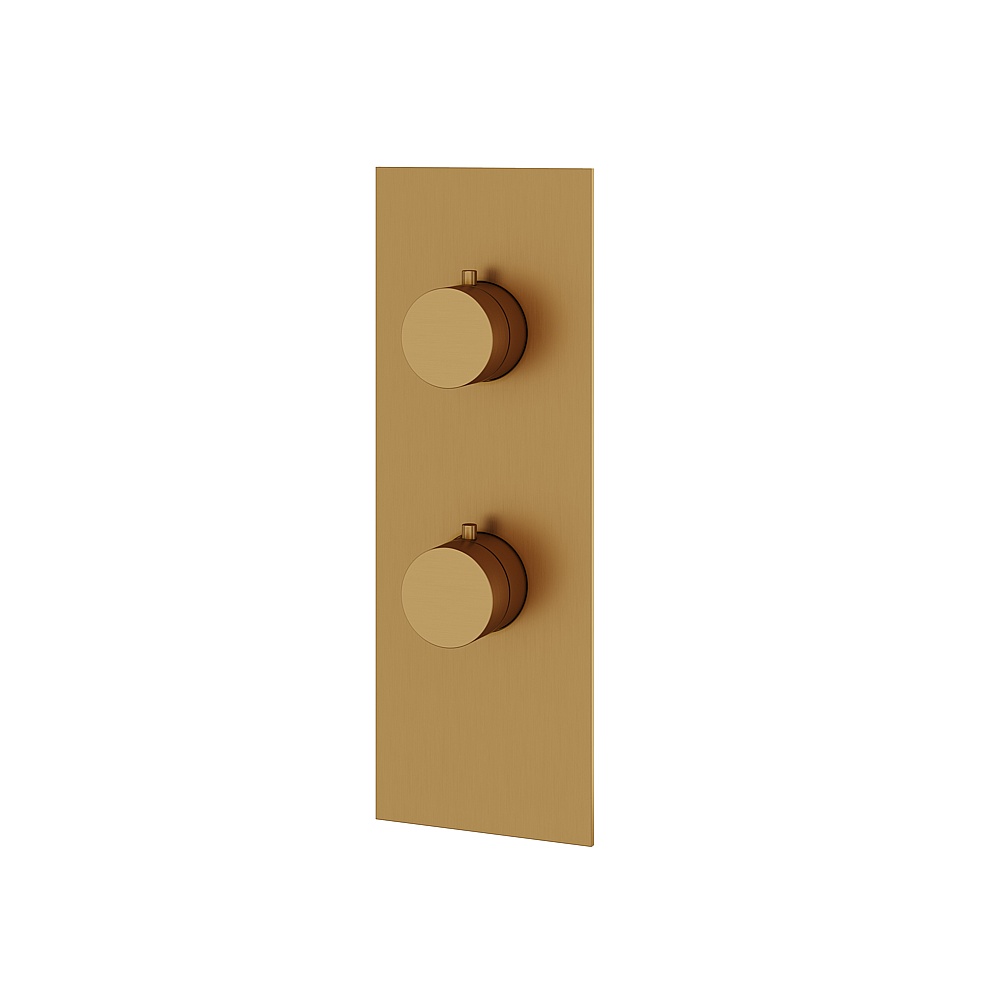 Aquabrass ABSTSR8295BGD Shower Trims Square/Round Trim Set 2-Way Shared for T12123 Valve - Brushed Gold