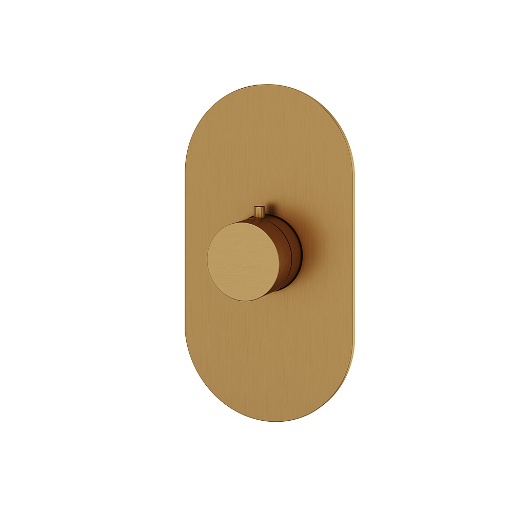 Aquabrass ABSTR3095BGD Shower Trims Round Trim Set for T12000 Valve - Brushed Gold