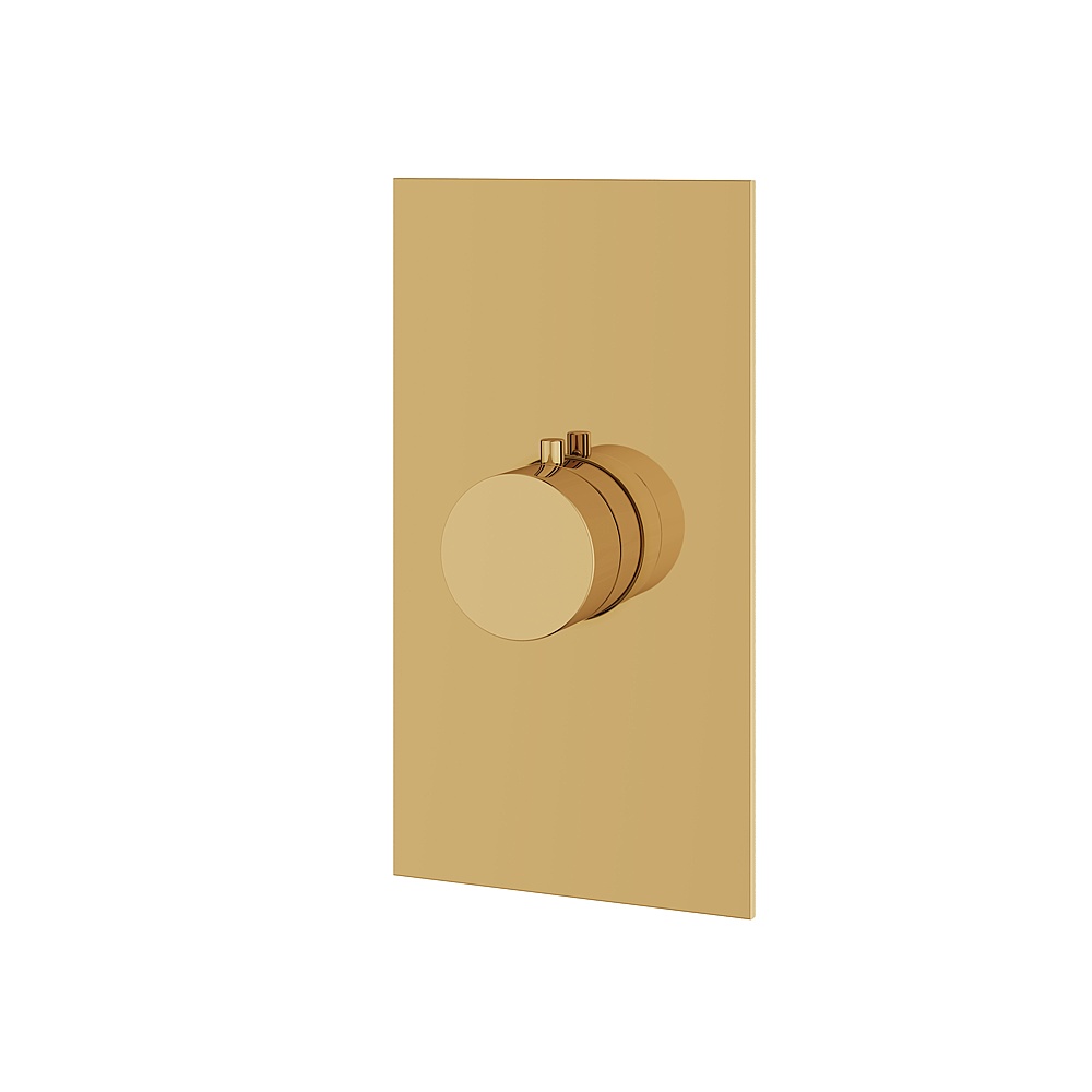 Aquabrass ABSTSR3095PGD Shower Trims Square/Round Trim Set for T12000 Valve - Polished Gold