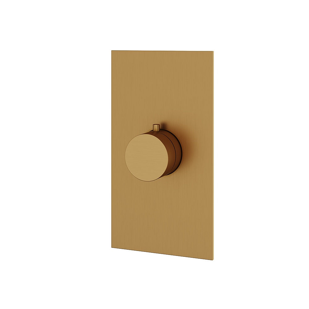 Aquabrass ABSTSR3095BGD Shower Trims Square/Round Trim Set for T12000 Valve - Brushed Gold