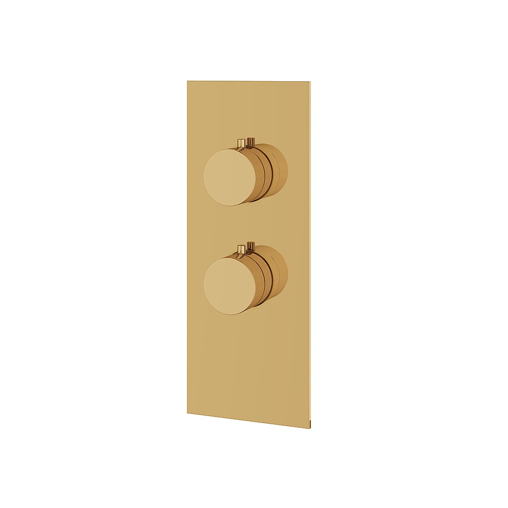 Aquabrass ABSTSR3195PGD Shower Trims Square/Round Trim Set for T12001 Valve - Polished Gold