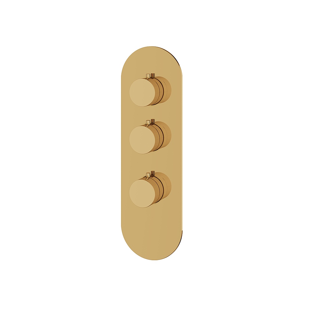 Aquabrass ABSTR3295PGD Shower Trims Round Trim Set for T12002 Valve - Polished Gold