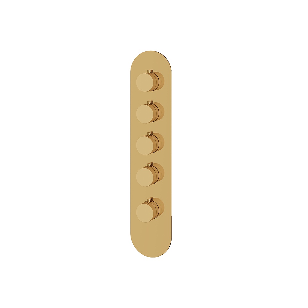 Aquabrass ABSTR3495PGD Shower Trims Round Trim Set for T12004 Valve - Polished Gold