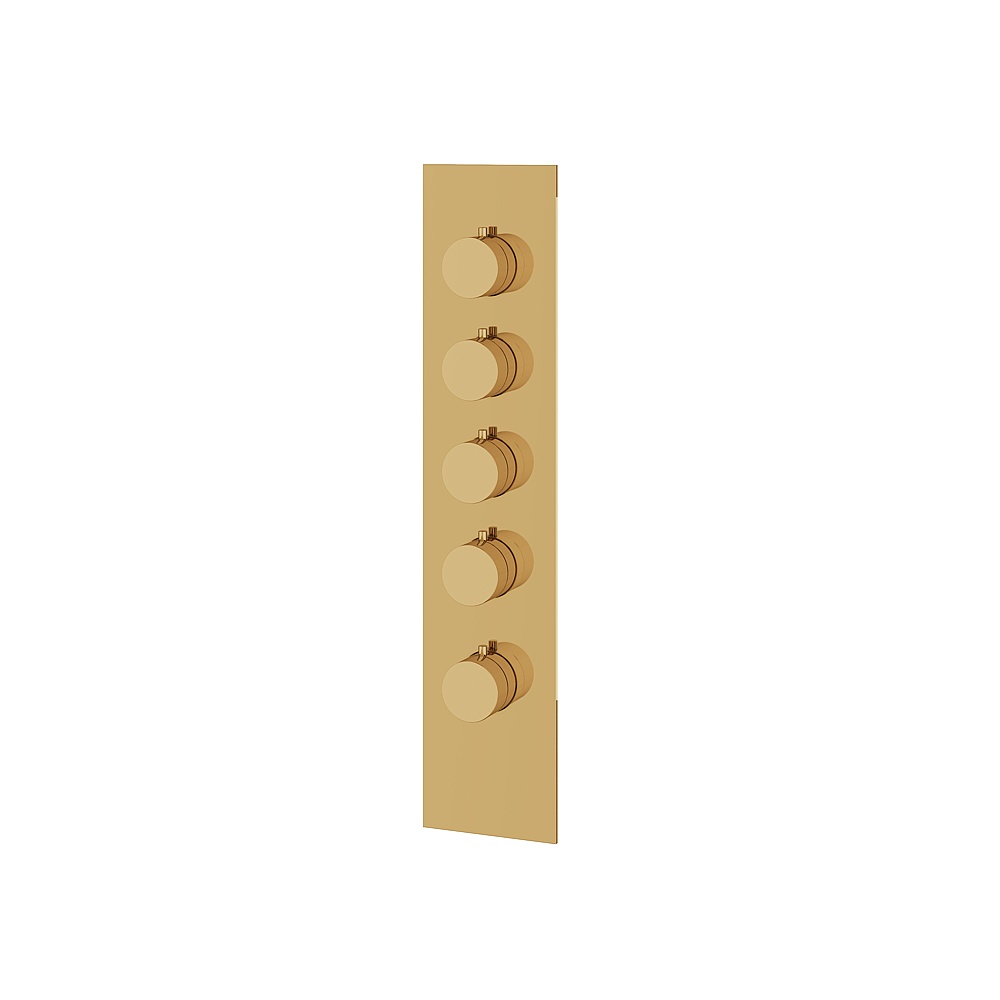 Aquabrass ABSTSR3495PGD Shower Trims Square/Round Trim Set for T12004 Valve - Polished Gold
